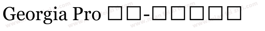 Georgia Pro 粗体字体转换
